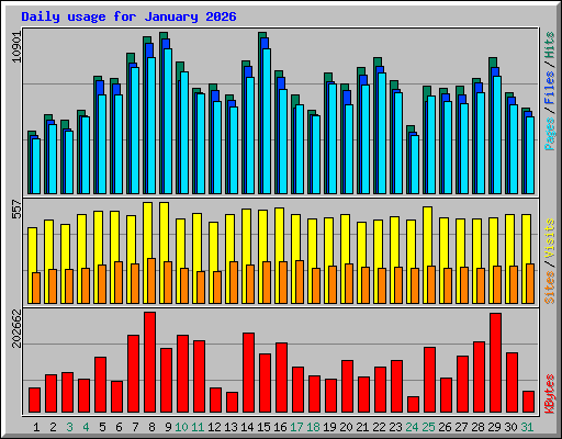 Daily usage for January 2026
