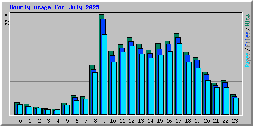 Hourly usage for July 2025