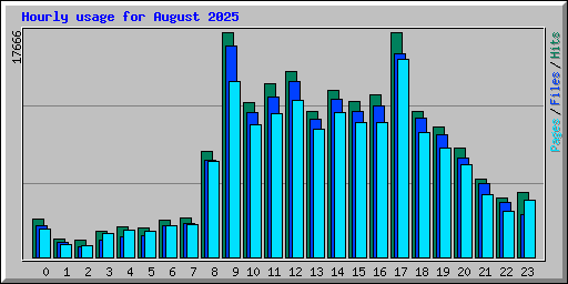 Hourly usage for August 2025