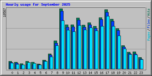 Hourly usage for September 2025