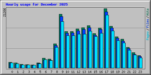 Hourly usage for December 2025