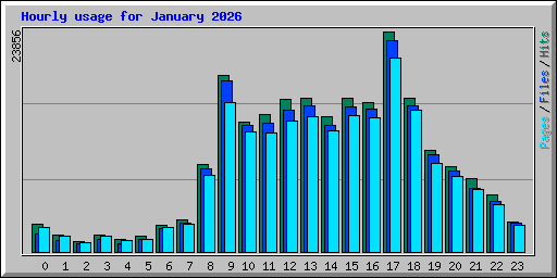 Hourly usage for January 2026