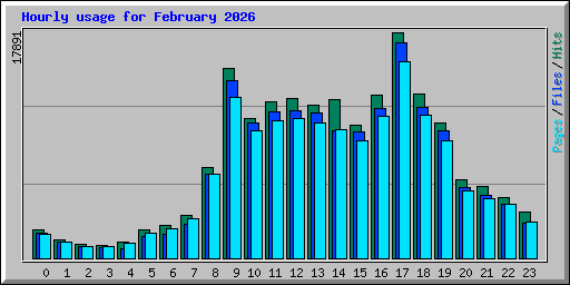 Hourly usage for February 2026