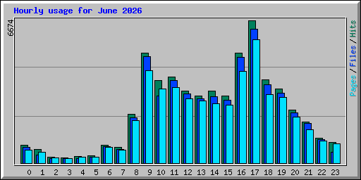 Hourly usage for June 2026