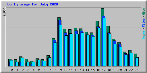 Hourly usage for July 2026
