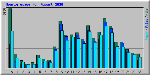 Hourly usage for August 2026